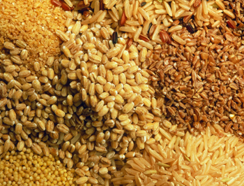 5221589611007259.jpg 5221589611007259.jpg