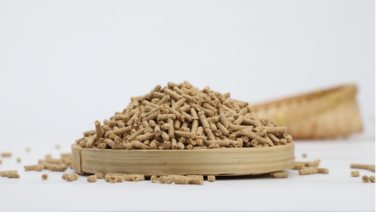 4231597902159852.jpg 圖片1.jpg